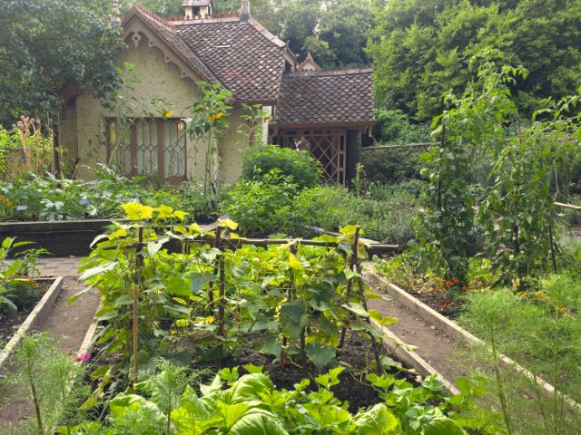 Duck Island Cottage in St James's Park, a hidden gem on the Westminster walking tour