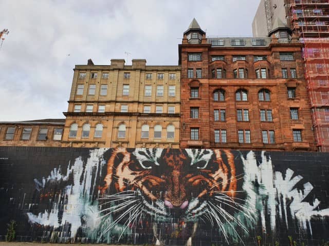 Glasgow's Tiger
