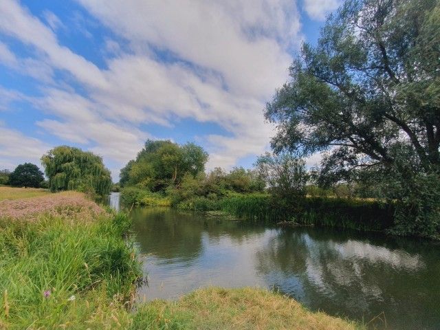 Grantchester Meadows open view of the water and trees