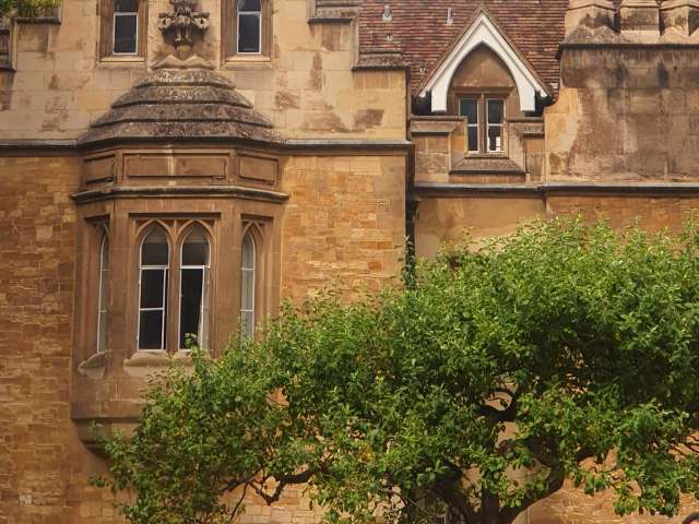 Trinity College Cambridge and the Newton Tree