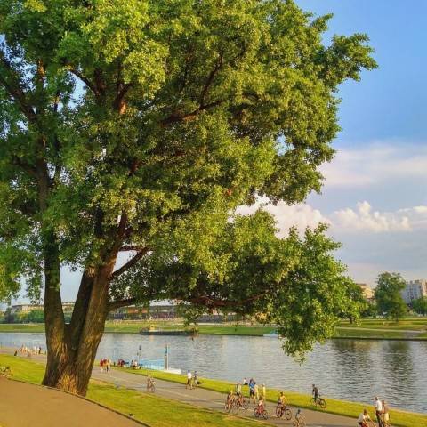 Vistula River Krakow
